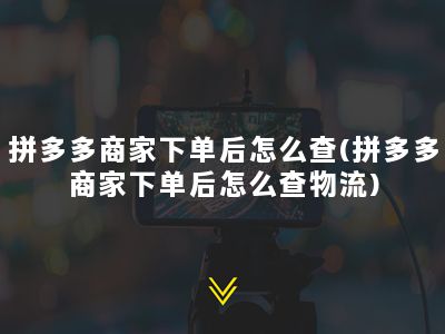 拼多多商家下单后怎么查(拼多多商家下单后怎么查物流)