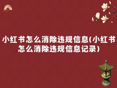 小红书怎么消除违规信息(小红书怎么消除违规信息记录)