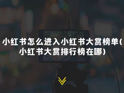 小红书怎么进入小红书大赏榜单(小红书大赏排行榜在哪)