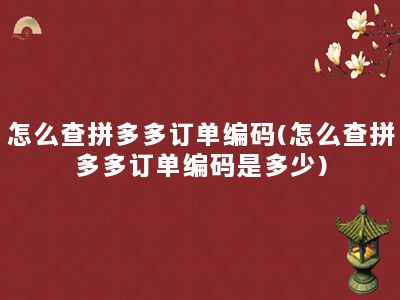 怎么查拼多多订单编码(怎么查拼多多订单编码是多少)